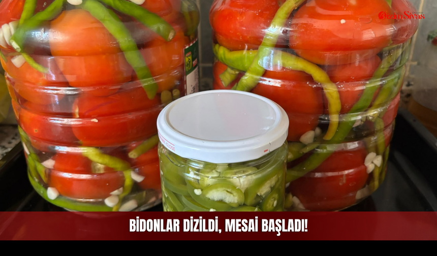 Bidonlar Dizildi, Mesai Başladı!