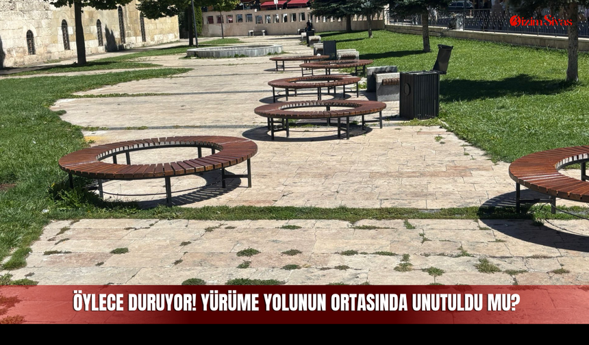 Boyandı Ama Haftalardır Öylece Duruyor! Yürüme Yolunun Ortasında Unutuldu mu?