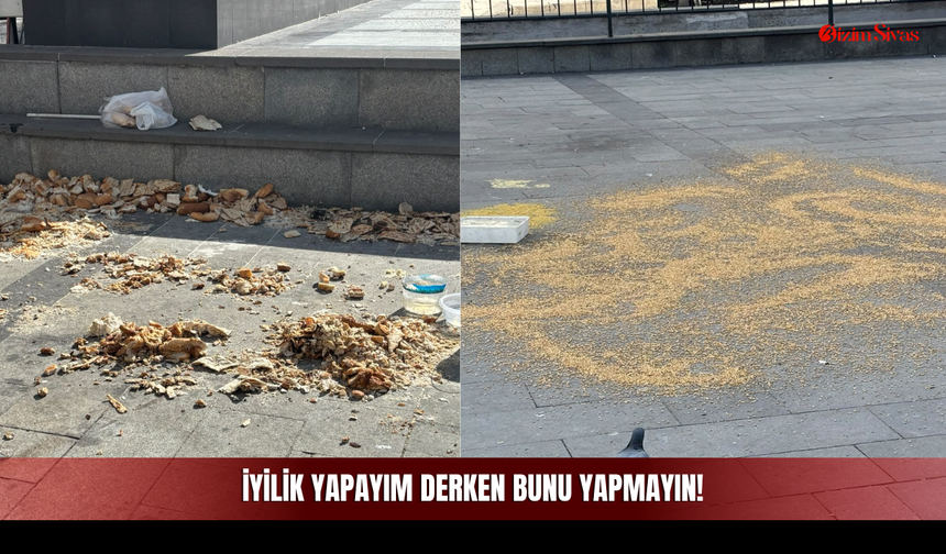 Hem Çevre Kirleniyor Hem İsrafa Yol Açıyor! İyilik Yapayım Derken Bunu Yapmayın!