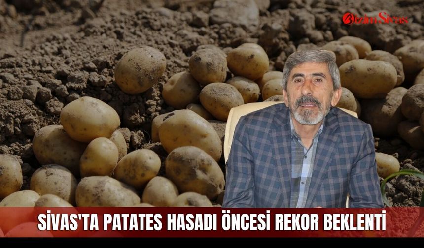 Sivas'ta patates hasadı öncesi rekor beklenti