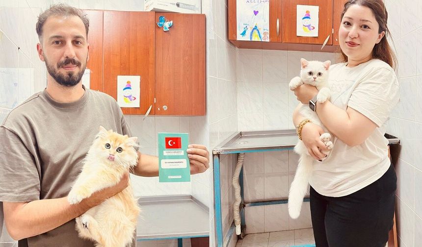 Sivas'ta Sahipli Hayvanlara Mikroçip Uygulaması Devam Ediyor
