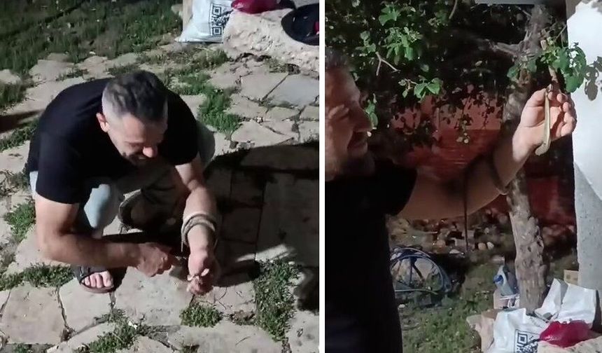 Sivas'ta bahçesindeki yılanı tuttu, sevdi, doğaya bıraktı