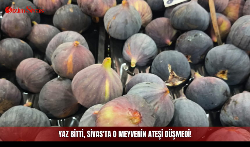 Yaz bitti, Sivas'ta o meyvenin ateşi düşmedi!
