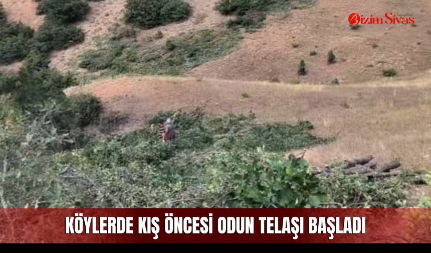 Köylerde kış öncesi odun telaşı başladı