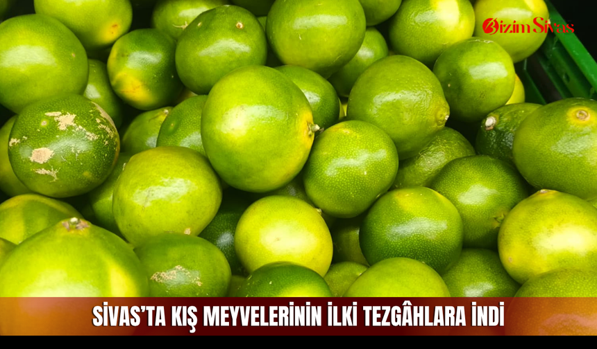 Sivas’ta kış meyvelerinin ilki tezgâhlara indi