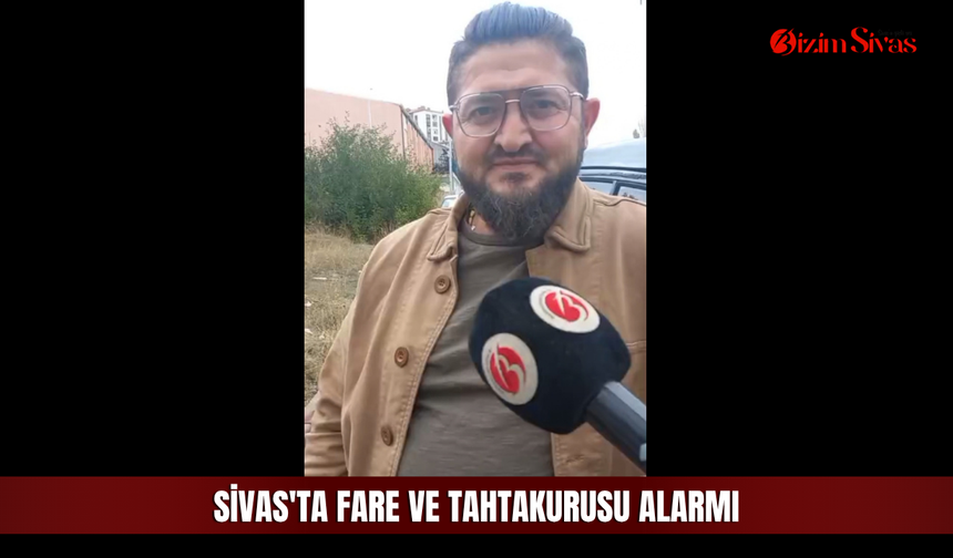 Sivas'ta fare ve tahtakurusu alarmı