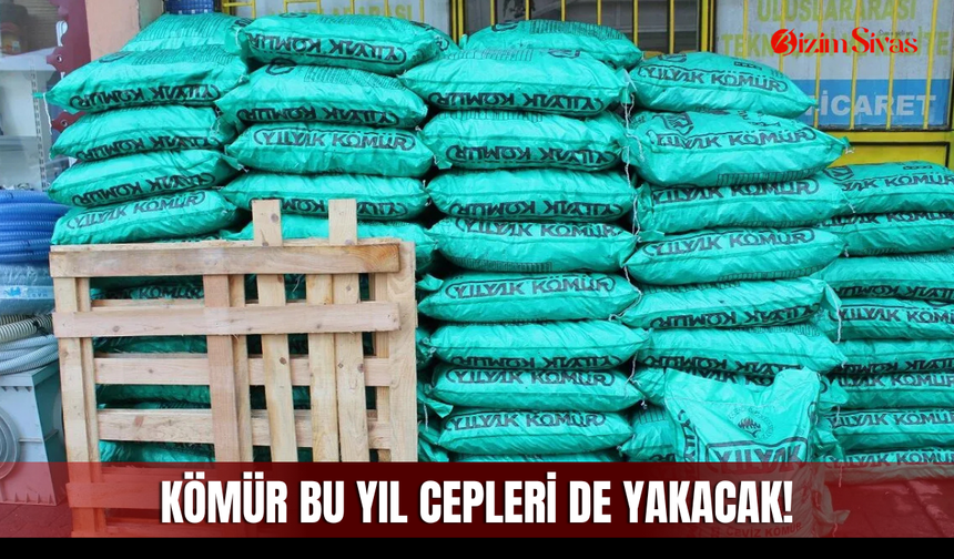 Kömür bu yıl cepleri de yakacak!