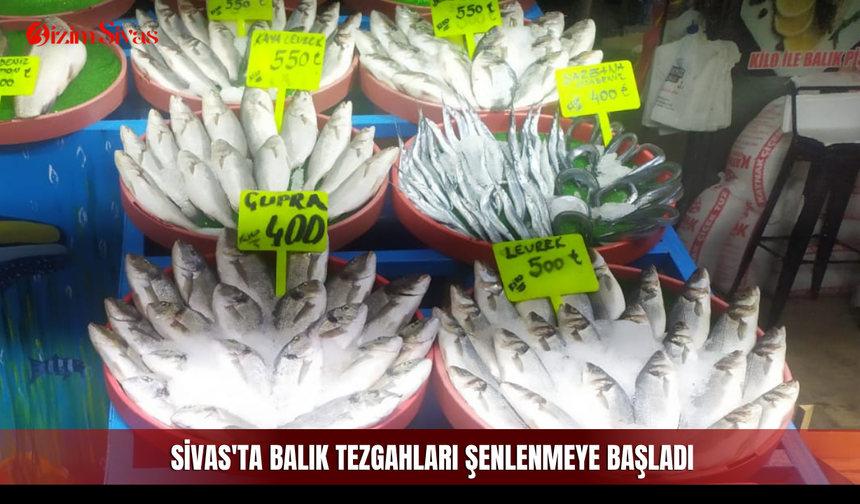 Sivas'ta balık tezgahları şenlenmeye başladı