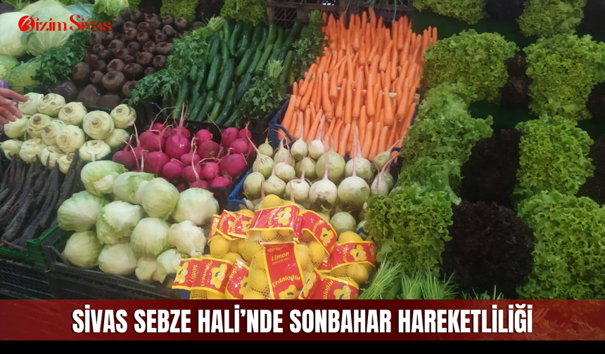 Sivas Sebze Hali’nde sonbahar hareketliliği