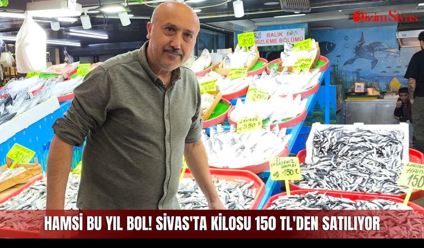 Hamsi bu yıl bol! Sivas'ta kilosu 150 TL'den satılıyor