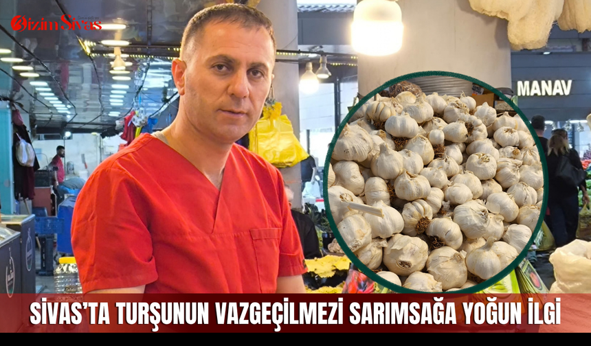 Sivas’ta turşunun vazgeçilmezi sarımsağa yoğun ilgi