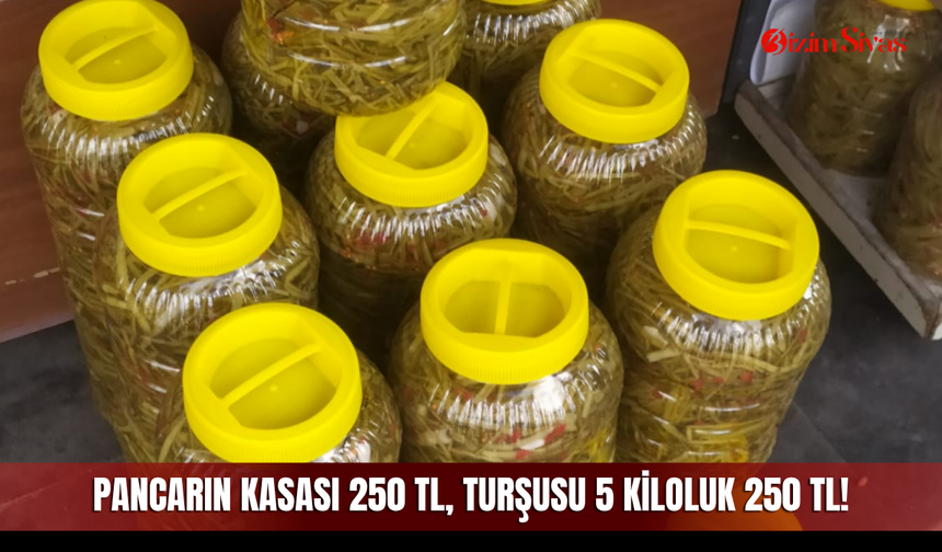 Pancarın kasası 250 TL, turşusu 5 kiloluk 250 TL!