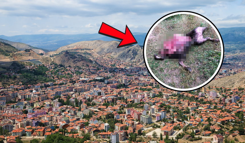 Sivas’ın Komşusunda Akılalmaz Olay!
