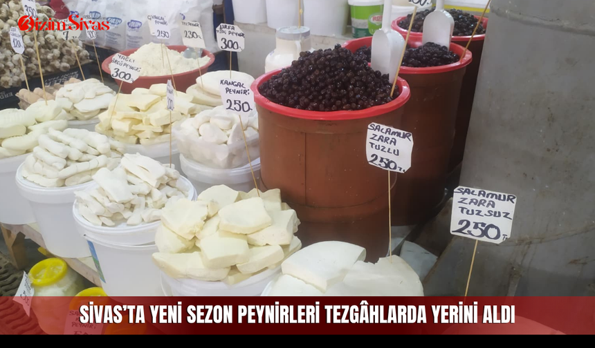 Sivas’ta yeni sezon peynirleri tezgâhlarda yerini aldı