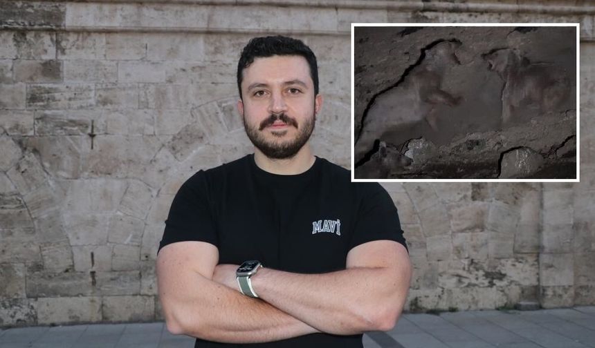 Sivas'ta boz ayıların yiyecek dövüşü kameraya yansıdı