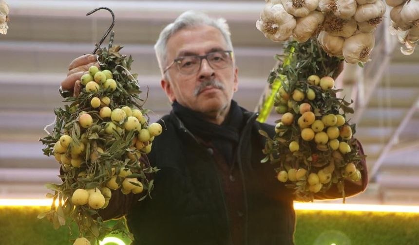 Sivas'ta iki yılda bir yetişiyor, bu meyve sipariş üzerine satılıyor