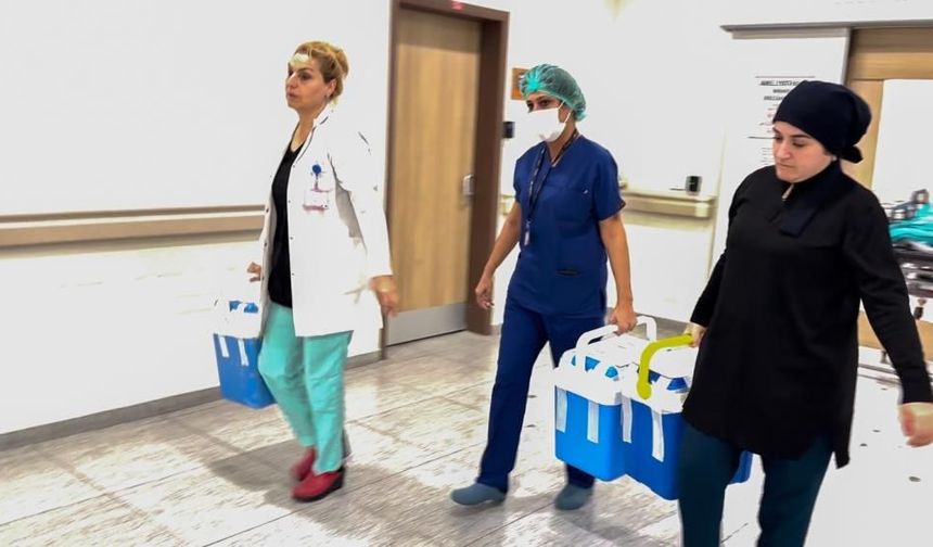 Sivas'a Erzurum'dan nakil için böbrek bağışı