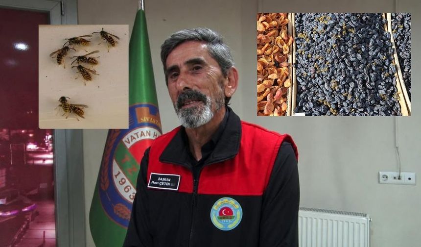 Sivas'ta arılar kışlıklarını tezgahlarda hazırlıyor