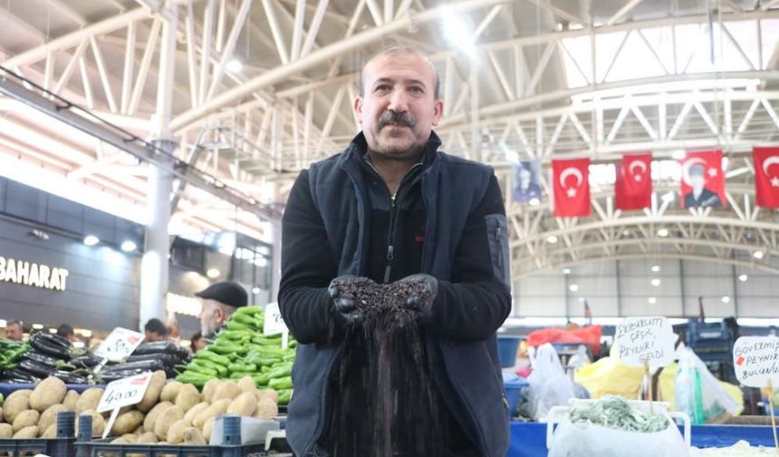 Sivas'ın bin derde deva meyvesi tezgahlarda