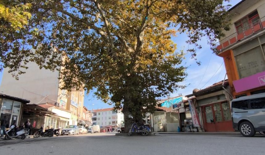 Sivas Kurulu, darağacını korumaya aldı