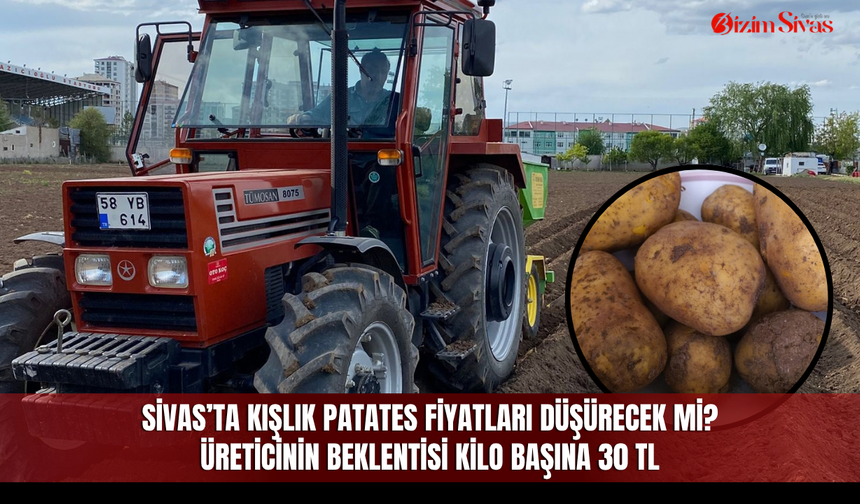 Sivas’ta kışlık patates fiyatları düşürecek mi? Üreticinin beklentisi kilo başına 30 TL