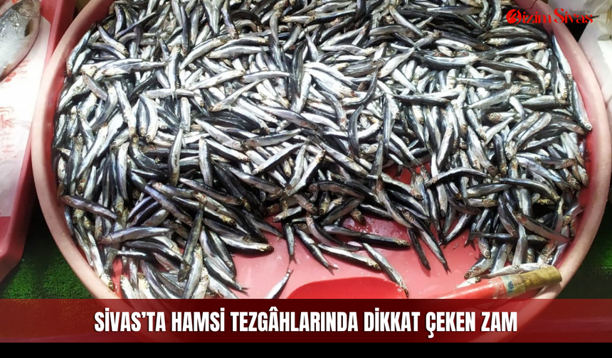 Sivas’ta hamsi tezgâhlarında dikkat çeken zam