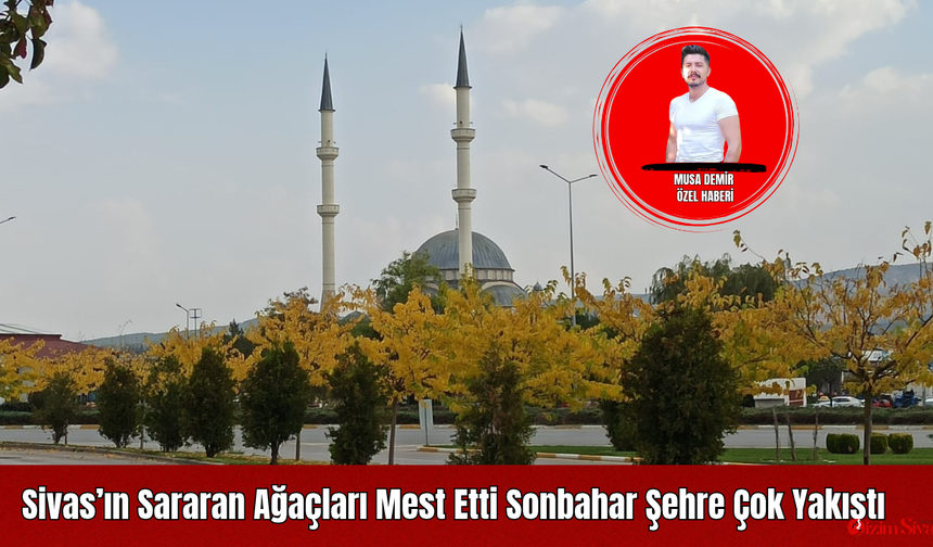 Sivas’ın Sararan Ağaçları Mest Etti Sonbahar Şehre Çok Yakıştı