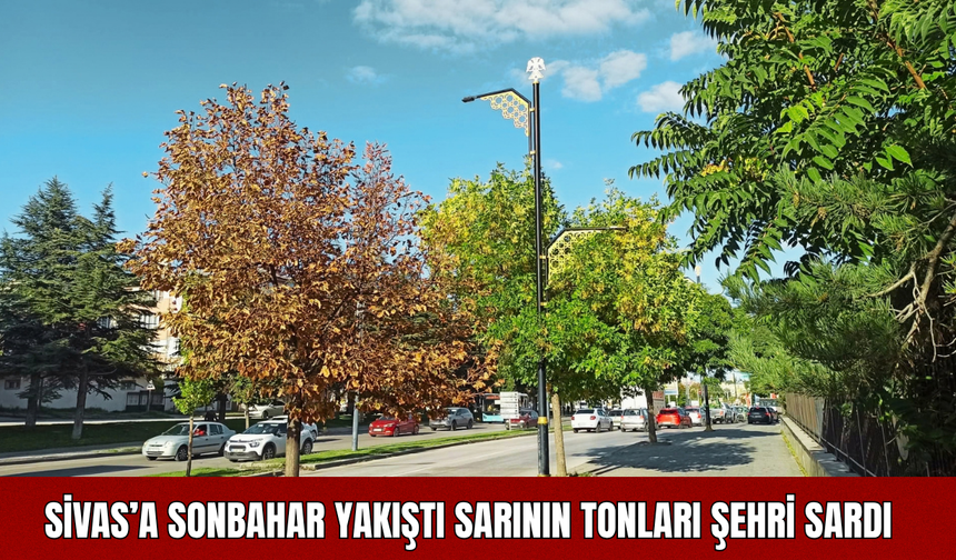 Sivas’a Sonbahar Yakıştı: Sarının Tonları Şehri Sardı