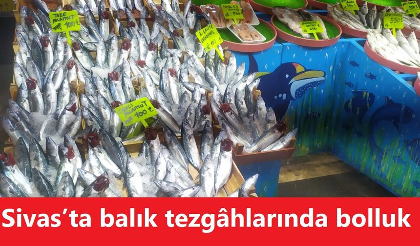 Sivas’ta balık tezgâhlarında bolluk: Palamut 100 TL’den satılıyor