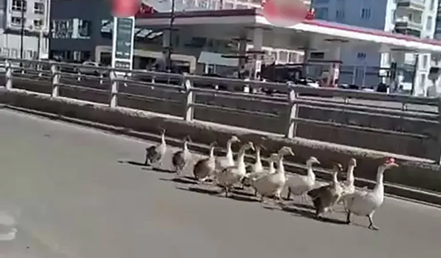Sivas’ta Caddeyi Adeta Onlar Devraldı